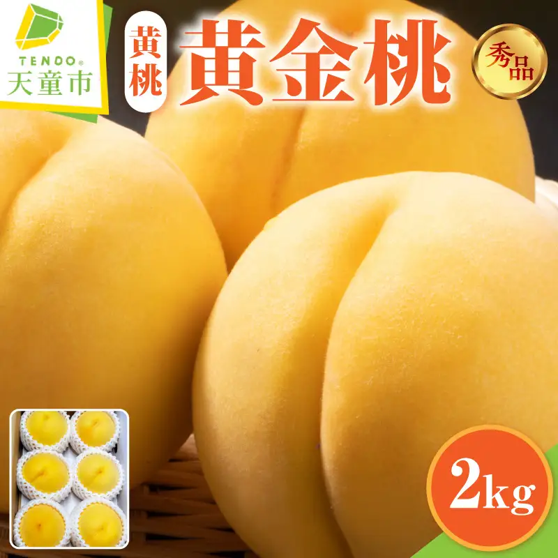 もも ( 黄金桃 ) 2kg フルーツ 果物 山形 08-45-012