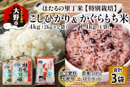 【先行予約】【令和8年産 新米】ベストファーマー ほたるの里 特別栽培こしひかり 4kg（2kg × 2袋） ＋ かぐらもち米 1.4kg 化学肥料不使用 農薬70％以上カット [A-002005]