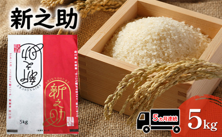 【5ヵ月連続でお届け】 新之助 米 5kg お米 新潟県産 白米 精米 コメ 新米 新潟県 田上町