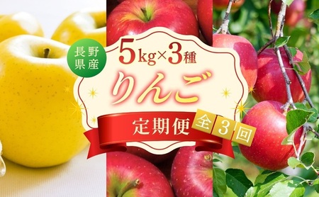 りんご5kg 3ヶ月定期便 スイート ゴールド サンふじ 贈答用 信州 フルーツ 果物 3回　シナノスイート シナノゴールド 林檎 リンゴ くだもの 旬の果物 旬のフルーツ 信州産 長野県産 長野 長野県 上田市