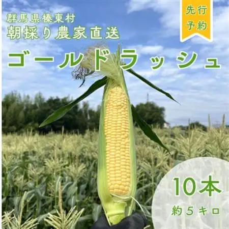 トウモロコシ　ゴールドラッシュ　10本【配送不可地域：離島】【1717447】