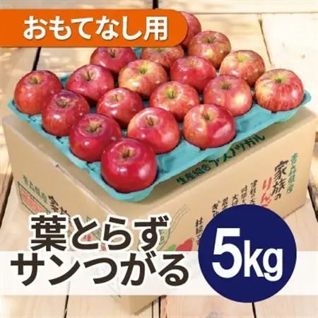 【2026年10月発送予定】平均糖度12度以上! 葉とらずサンつがる 約5kg おもてなし用【配送不可地域：離島・沖縄県】【1667865】