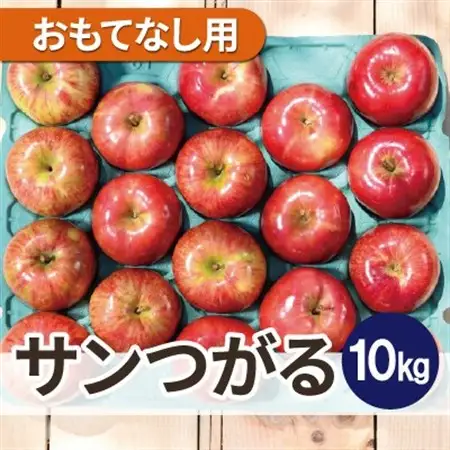 【2026年9月発送予定】平均糖度12度以上! 葉とらずサンつがる 約10kg おもてなし用【配送不可地域：離島・沖縄県】【1667868】