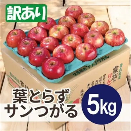 【2026年9月発送予定】平均糖度12度以上! 葉とらずサンつがる 約5kg 訳あり【配送不可地域：離島・沖縄県】【1667869】