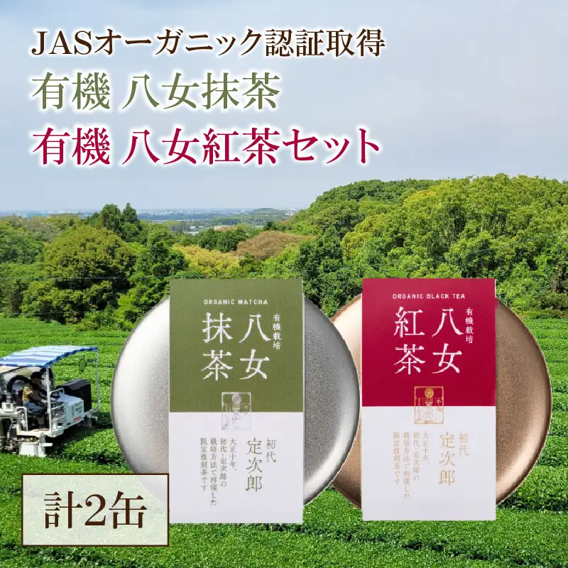 有機 八女抹茶(20g)・八女紅茶(30g)セット 茶 お茶 抹茶 紅茶 一番茶 二番茶 やぶきた 深蒸し茶 国産 八女産 福岡 数量限定 期間限定 028-018