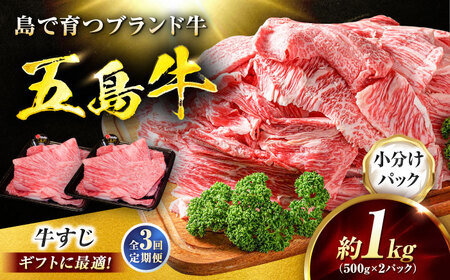 【3回定期便】五島牛 牛すじ1kg（500g×2P）五島市/meat shop FUKU[PHF006]