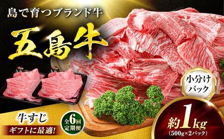 【6回定期便】五島牛 牛すじ1kg（500g×2P）五島市/meat shop FUKU[PHF007]