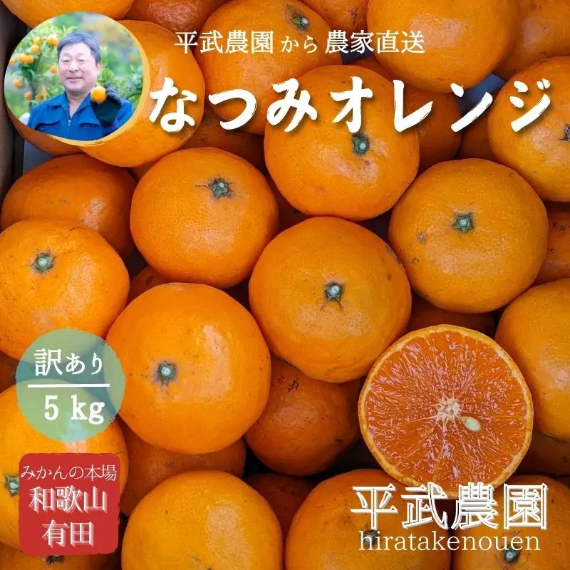 農家直送！なつみオレンジ 5kg 訳あり≪サイズ混合≫【平武農園】～蛍飛ぶ町から旬の便り～