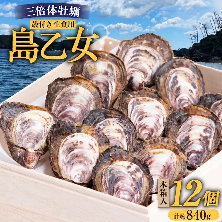 殻付き牡蠣 生食用 三倍体牡蠣 島乙女 約840g 12個入 [カネキ水産 宮城県 気仙沼市 20565985]