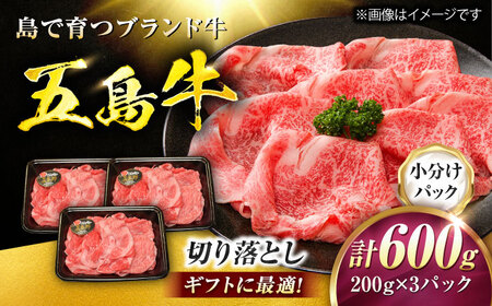 五島牛 切り落とし 600g（200g×3P）五島市/meat shop FUKU[PHF013]