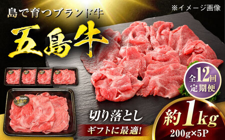 【12回定期便】五島牛 切り落とし 1kg（200g×5P）五島市/meat shop FUKU[PHF020]