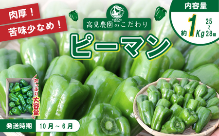 苦味が少なくておいしい！ 高見農園 のこだわり 新鮮 ピーマン 1kg 野菜 ベジタブル ぴーまん ハウス ハウスピーマン ハウス栽培 惣菜 国産 産地直送 旬 高知県 四万十 しまんと【発送時期：10月～6月】26-0036