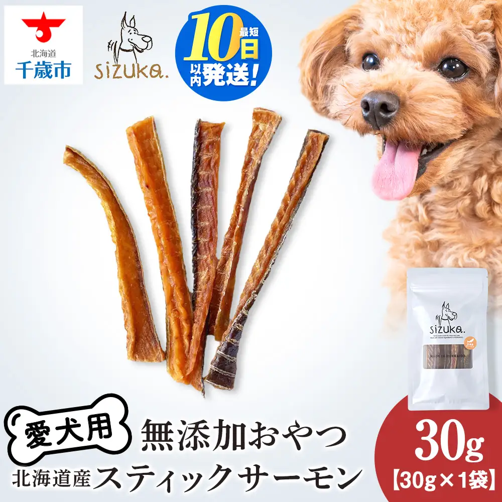 スティックサーモン 30g×1袋