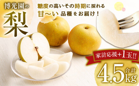 【10月発送分】【家計応援】【数量限定】梨 4.5kg+1玉 豊水 20世紀 新高 新興 果物 フルーツ