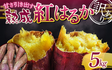 甘さ引き出す サイズ不揃い 熟成紅はるか 5kg さつまいも 訳アリ サツマイモ さつま芋 甘い おやつ 食品 F7X-0794