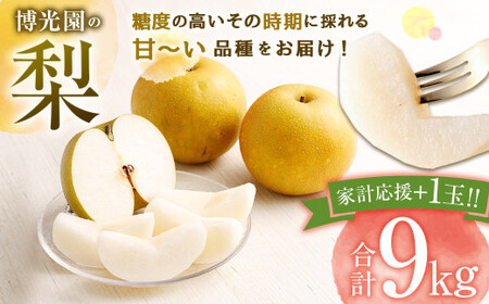 【9月発送分】【家計応援】【数量限定】梨 9.0kg+1玉  豊水 20世紀 新高 新興 果物 フルーツ