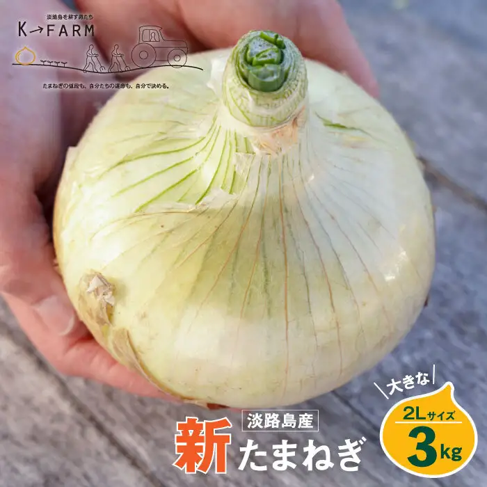 【新玉ねぎ】淡路島玉ねぎ 大きな2Lサイズ 3kg【発送時期：2026年3月下旬～6月頃】