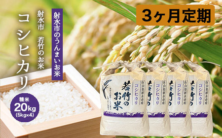 【3ヶ月定期便】【射水市】【射水の美味しいお米】若竹のお米 R8年度産コシヒカリ20kg（5kg×4） | 新米 先行予約 令和8年産米 ブランド米 こしひかり 銘柄米 こめ 白米 富山県 ※離島への配送不可 ※2026年10月上旬～10月下旬頃に順次発送予定