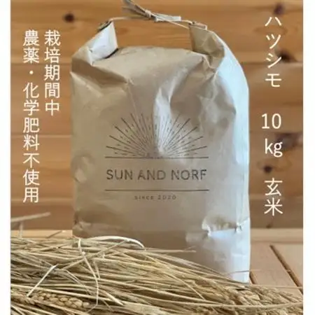 【令和7年産】初霜(源種)　玄米10kg　(栽培期間中農薬・化学肥料不使用)【1721460】