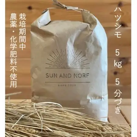 【令和7年産】初霜(源種)5分づき5kg　(栽培期間中農薬・化学肥料不使用)【1721465】