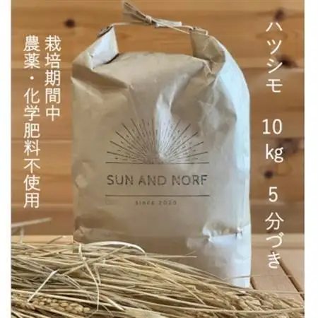 【令和7年産】初霜(源種)5分づき10kg　(栽培期間中農薬・化学肥料不使用)【1721466】