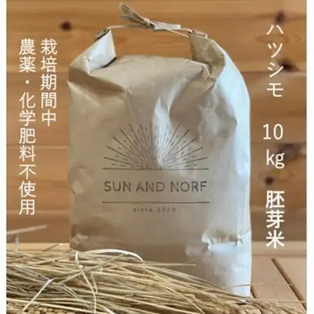 【令和7年産】初霜(源種)胚芽米10kg　(栽培期間中農薬・化学肥料不使用)【1721479】