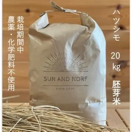 【令和7年産】初霜(源種)胚芽米20kg　(栽培期間中農薬・化学肥料不使用)【1721482】