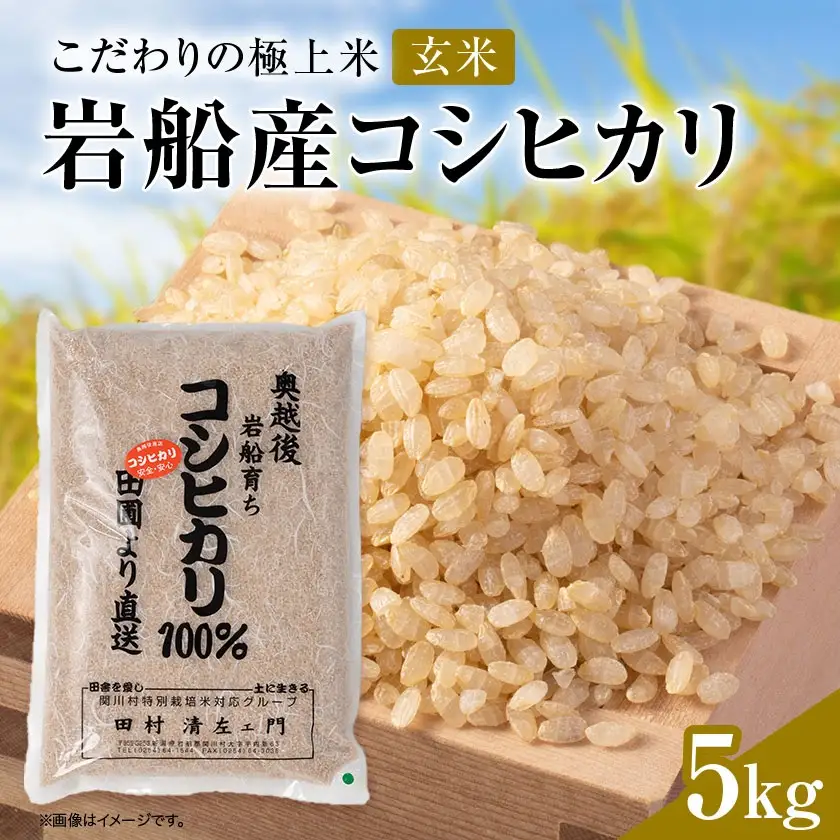 R7年産 [極上]安心こだわり米 岩船産コシヒカリ玄米5kg(5kg×1袋)[百姓屋]【1720546】