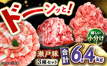 瀬戸豚 豚肉3種セット 計6.4kg / 肉 豚肉 豚バラ しゃぶしゃぶ 冷凍 小分け / 瀬戸市 / 関屋精肉店[BBBQ225]