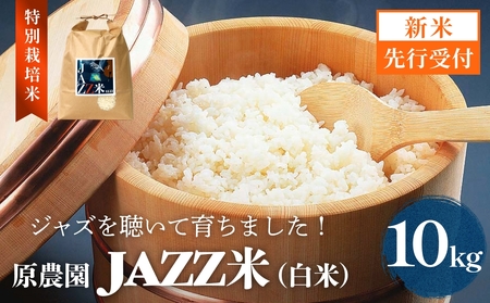 【令和8年産米先行受付】原農園 JAZZ米 白米 10kg ひのひかり 米 お米  こめ コメ ご飯 ヒノヒカリ 常温 大分県 大分 玖珠町 玖珠