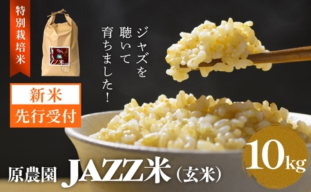 【令和8年産米先行受付】原農園 JAZZ米 玄米 10kg ひのひかり 米 お米  こめ コメ ご飯 ヒノヒカリ 常温 大分県 大分 玖珠町 玖珠