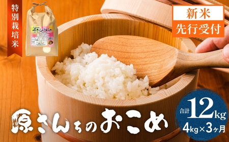 【令和8年産米先行受付】原さんちのお米 白米 ４kg ひとめぼれ 3回定期便 米 お米 こめ コメ  ご飯 ヒトメボレ 常温 大分県 大分 玖珠町 玖珠