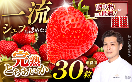【栃木県共通返礼品】いちご 完熟とちあいか とちあいか ギフトボックス 贈答用 30粒 下野市　
