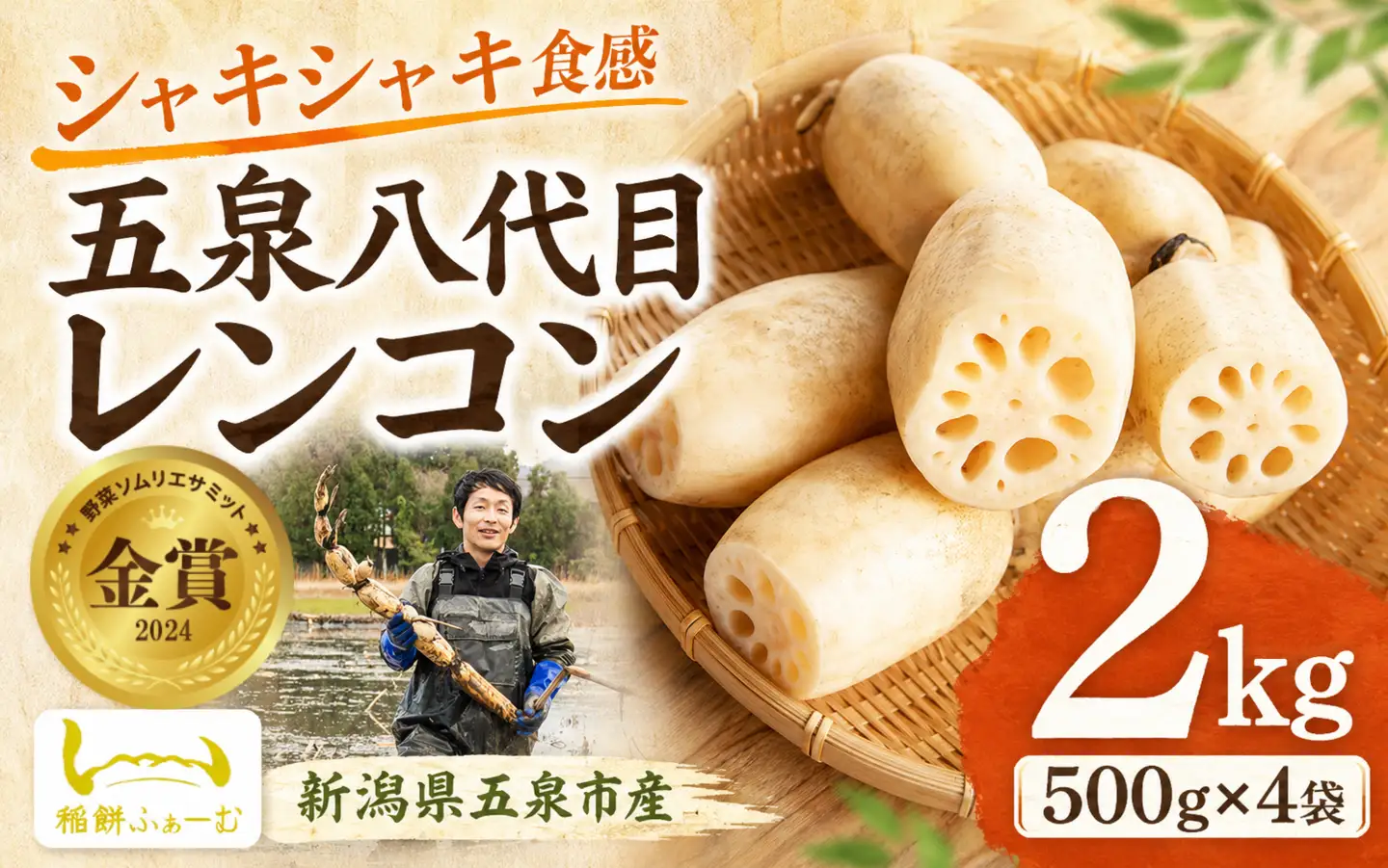 【先行予約品】五泉八代目レンコン 2kg(500g×4袋)  | れんこん 蓮根 野菜 根菜 産地直送 国産 新潟県 五泉市 稲餅ふぁーむ
