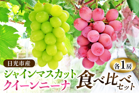 日光産シャインマスカットとクイーンニーナの食べ比べセット《2026年9月上旬より順次発送》ぶどう [0911]