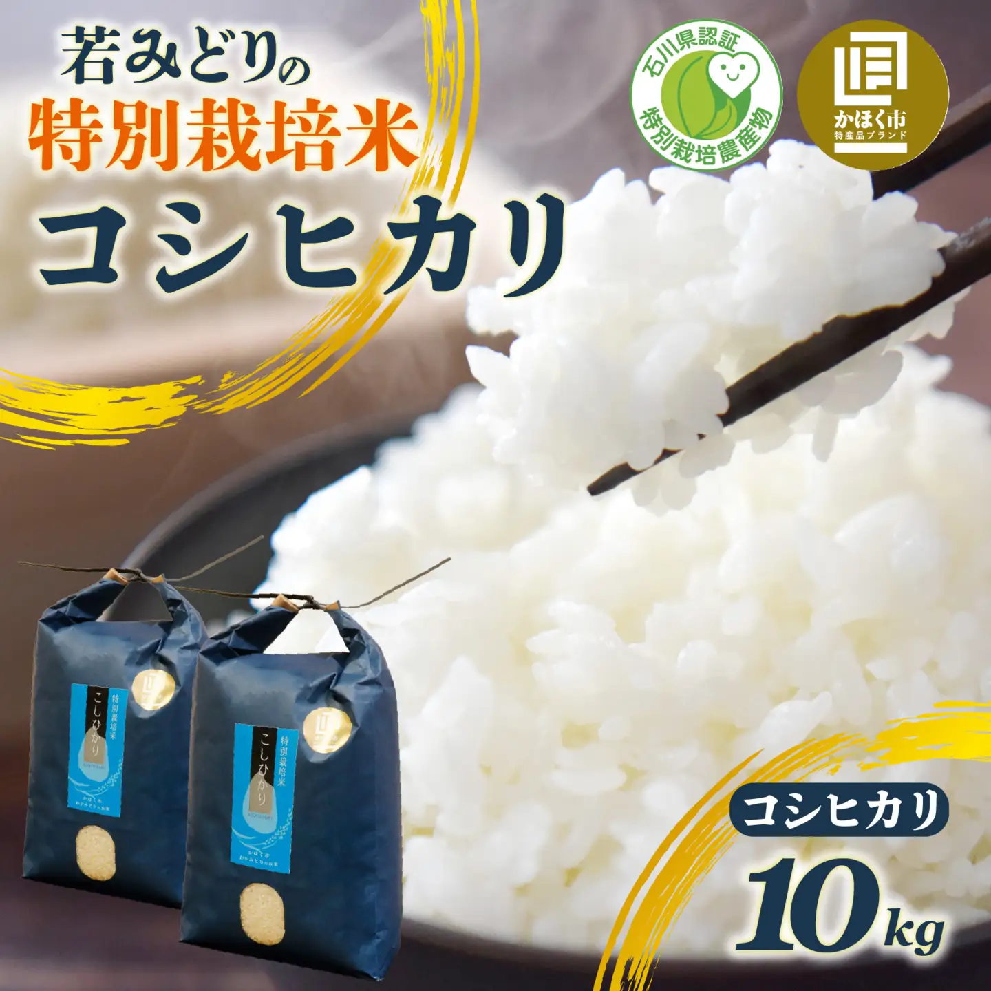 若みどりの こしひかり 10kg 白米  /  コシヒカリ 令和7年産 
