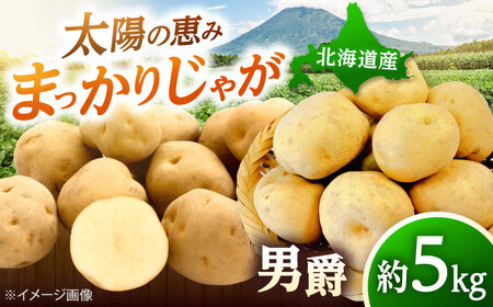 【2026年10月中旬以降順次発送】 じゃがいも 男爵（まっかりじゃが）5kg | じゃがいも ジャガイモ 男爵 野菜 北海道 産地直送 | 道の駅 真狩フラワーセンター[BPAM016]