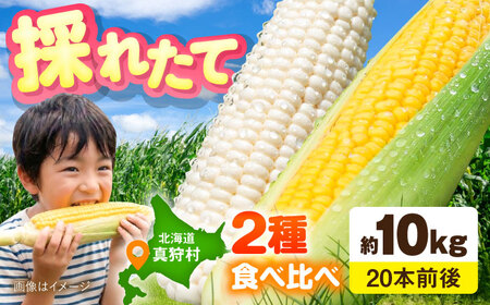 【2026年8月下旬以降順次発送】 白と黄色のとうもろこし 各5kg |  とうもろこし とうきび トウモロコシ コーン 野菜 やさい 北海道 産地直送 |  道の駅 真狩フラワーセンター[BPAM019]