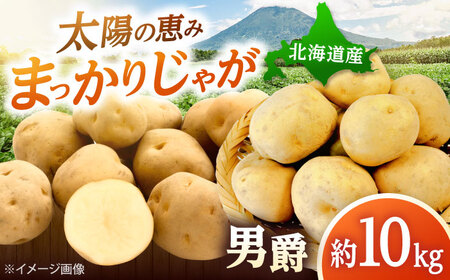 【先行予約】 じゃがいも 男爵（まっかりじゃが）10kg じゃがいも [BPAM024]