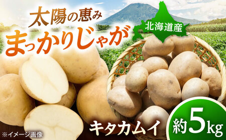 【2026年11月上旬以降順次発送】 じゃがいも キタカムイ（まっかりじゃが）5kg | 野菜 じゃがいも ジャガイモ キタカムイ 北海道 産地直送 | 道の駅 真狩フラワーセンター[BPAM048]