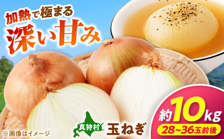 【2026年10月上旬以降順次発送】 玉ねぎ 10kg | 野菜 玉ネギ たまねぎ やさい 北海道 産地直送 | 道の駅 真狩フラワーセンター[BPAM080]