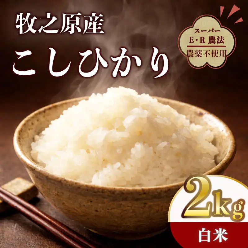 【国産 数量限定】コシヒカリ 2kg 令和7年度産 精米済み 白米 静岡県 牧之原 大澤農園