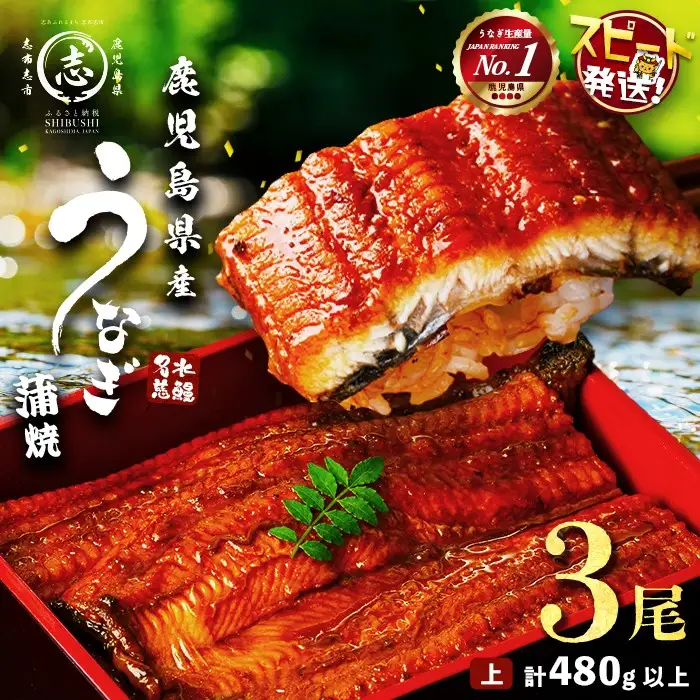 【10営業日以内に発送】鹿児島県産うなぎ蒲焼 名水慈鰻 3尾＜計480g以上＞ うなぎ 鰻 ウナギ 3尾 国産 蒲焼 かばやき 冷凍 真空 真空パック 無頭 うな重 ひつまぶし タレ 山椒 a8-090