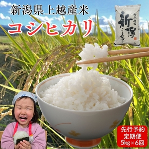令和8年産　先行予約　上越市産コシヒカリ　5kg×6回定期便　新米　精米　新潟　米　新潟県　こしひかり　限定　定期便　おすすめ　米ヴィレッジさんわ