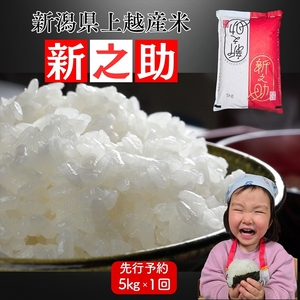 令和8年産　先行予約　上越市産新之助　5kg　新米　精米　新潟　米　新潟県　新之助　限定　おすすめ　米ヴィレッジさんわ