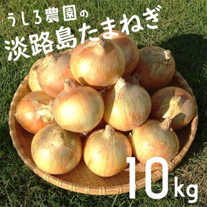 淡路島の玉ねぎ　10kg　中生 玉ねぎ たまねぎ 玉葱 オニオン 野菜 甘み コク 旨み 炒め物 カレー 肉じゃが ステーキ スープ 煮物 ハンバーグ 旬 兵庫県 洲本市 淡路島