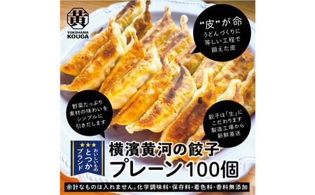 【 ぎょうざの横濱黄河 】野菜たっぷり！冷凍生餃子 プレーン100個 AQI0002