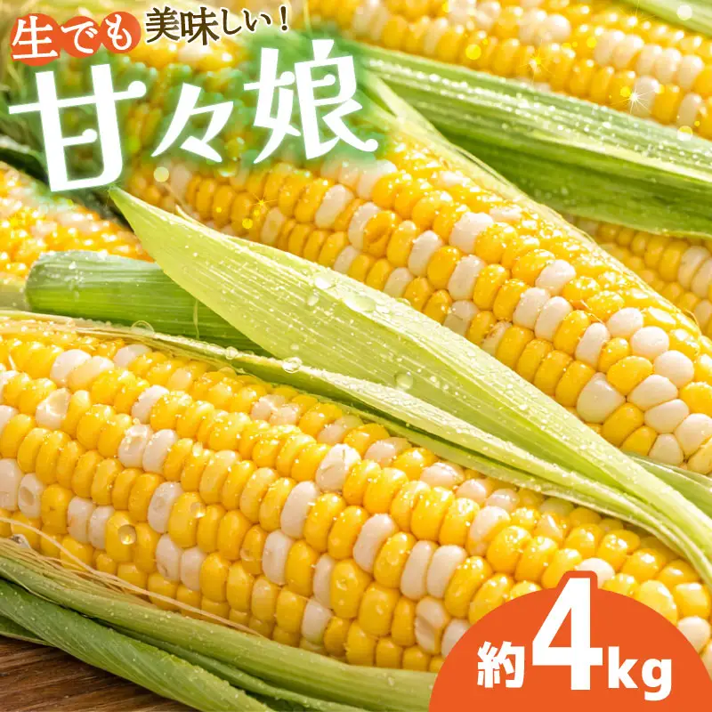 甘々娘 4kg 先行予約 レシピ付き とうもろこし とうもろこし