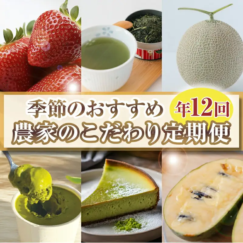 【定期便 12回 】 フルーツ 定期便 いちご メロン お茶 国産  森木農園 静岡県 牧之原市