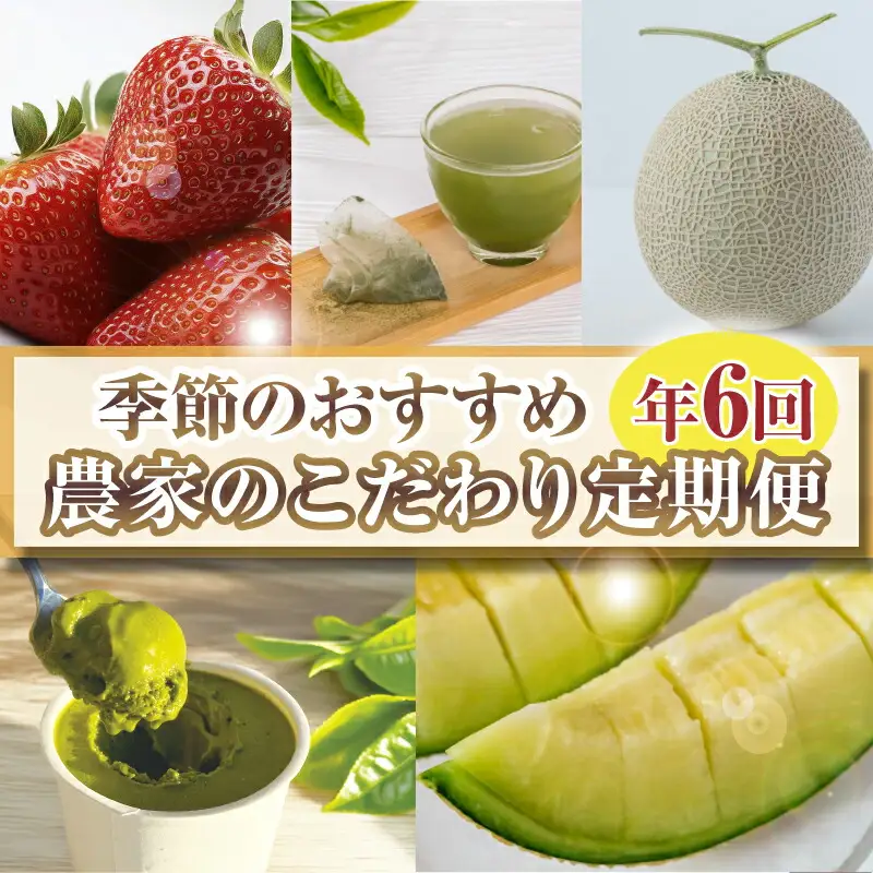 定期便 6回 フルーツ いちご メロン お茶 国産 イチゴ 果物 アイス 森木農園